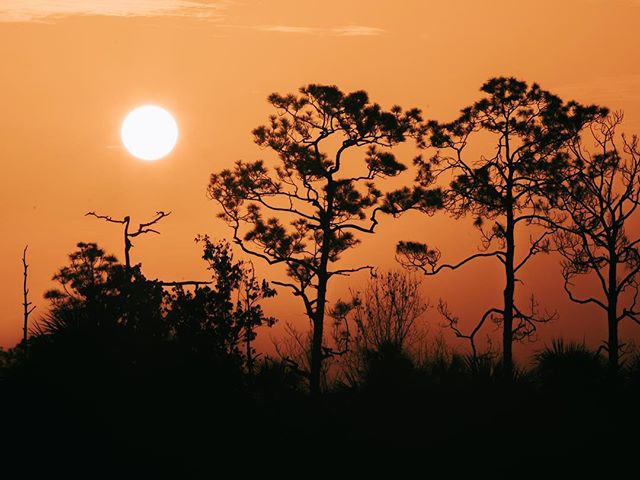 Photo taken at Everglades National Park